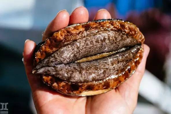 3d同人污污污动漫