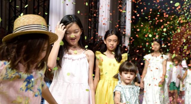 啄木鸟 合集 啄木百度百科:了解基础知识