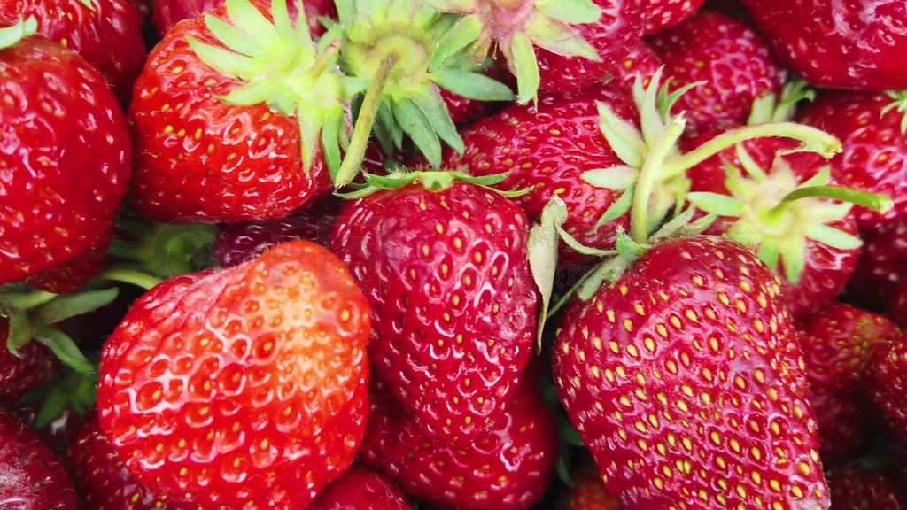 希威 视频 希威视频区块链/加密货币