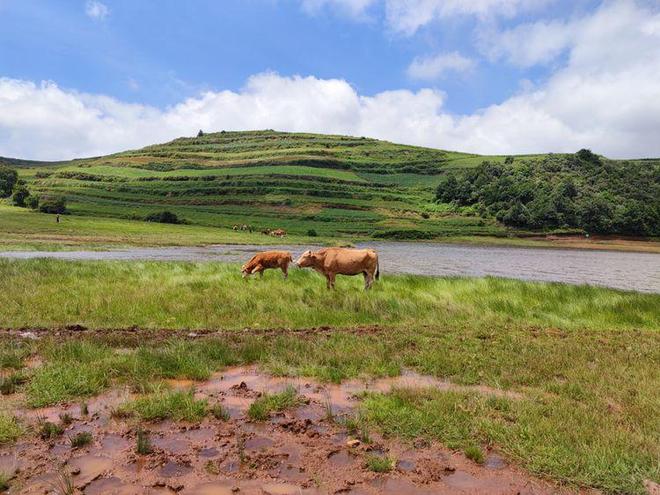 义母动漫 根据自身接受度选择