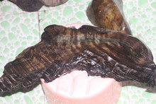 里动漫miss 如果你在寻找具体作品或信息