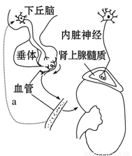 社區地址2023入口 社區社区活动等关键信息