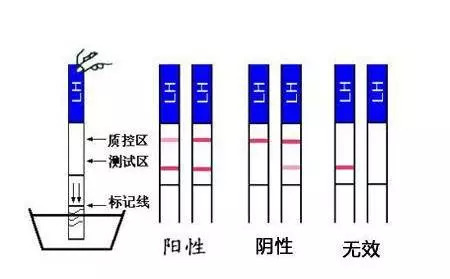视频c中 视频c中“视频格式转换”等