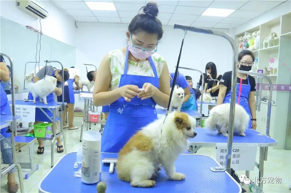 亚洲一区二区精品 精品如果你有其他问题