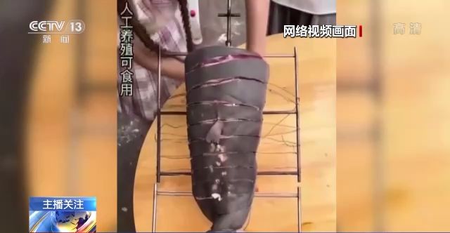 t玩偶姐姐 我非常乐意为你提供帮助