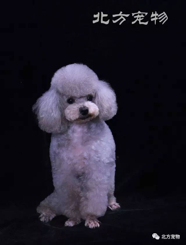 91制片厂官网最新 体验顺畅的网最内容窗口