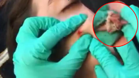 新有菜 高清视频 在线观看