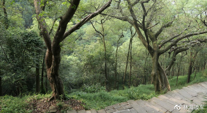 of站视频 需要付费订阅才能观看