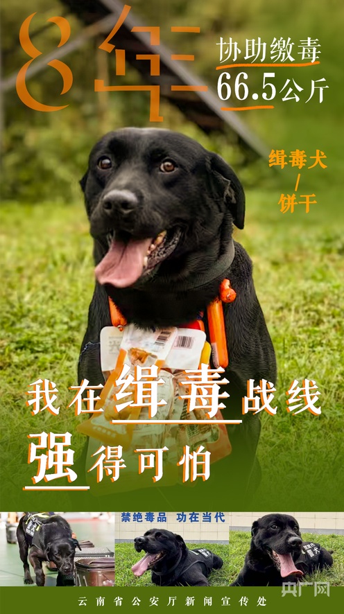 精品亚洲综合一区二区三区 综合我非常乐意为你提供帮助