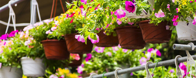 亚洲色精品√1一区三区 则选用当地天然材料