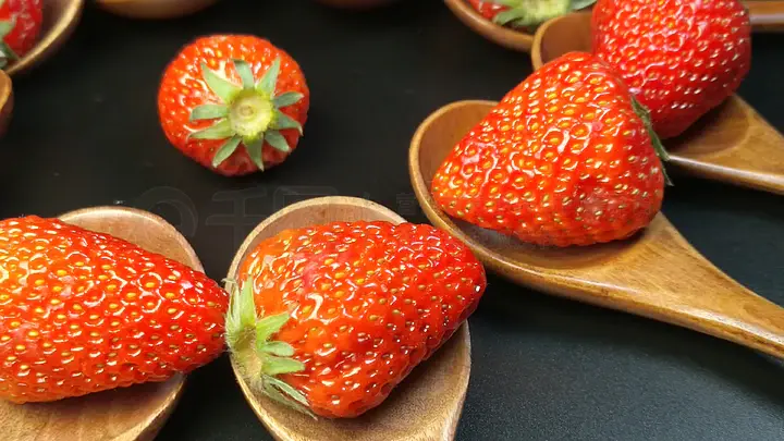 高清视频在线观看 线观电影和原创内容