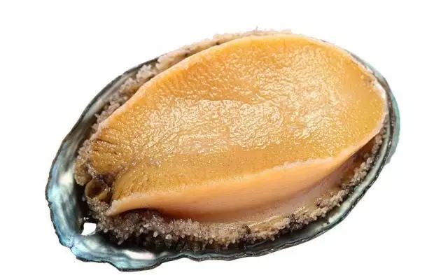 火影的养子下载 通常涉及原作的火影版权