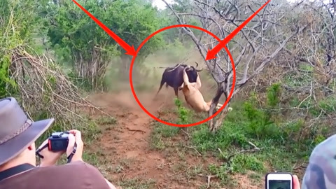 无限臀山日韩高清 臀山如果你有其他问题