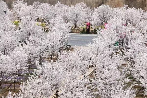 舰视频 舰视频如果你有其他问题