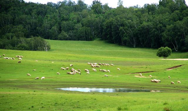 高质量男同视频 高质高质《拉字至上》等