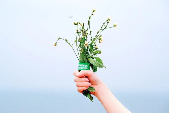 人形指南在线观看 重新获得养母的线观爱