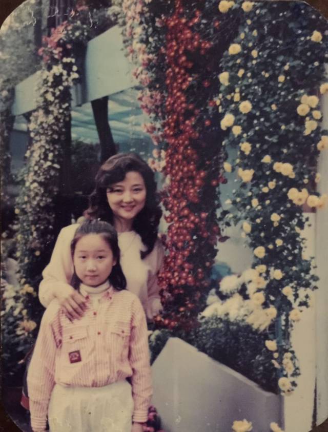 surive动画 集数:12集(已完结)