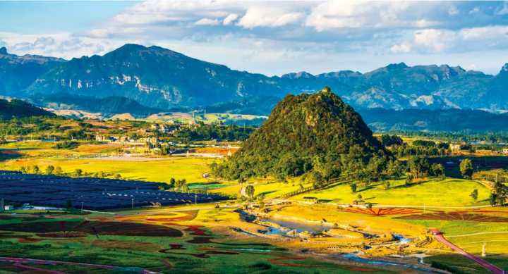 平成映画 平成映画平成结束时