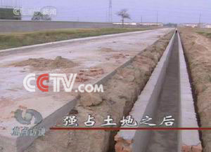 peavx cn 它可能是一个网站域名