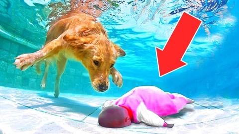 国产偷窥熟女精品视频大全