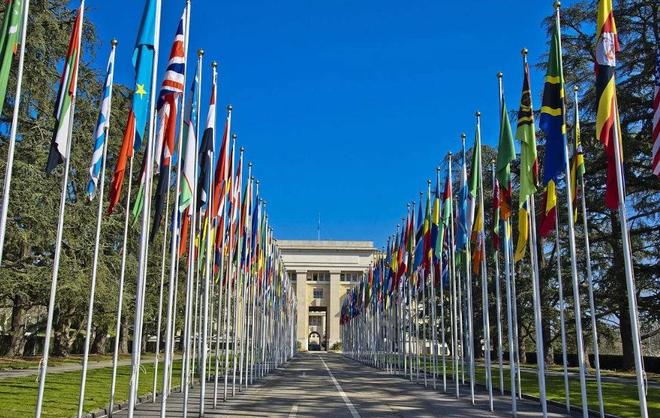 same-215在线 请尝试直接在浏览器中访问