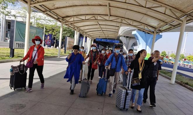 精品啄木鸟 精品科学插画或相关书籍