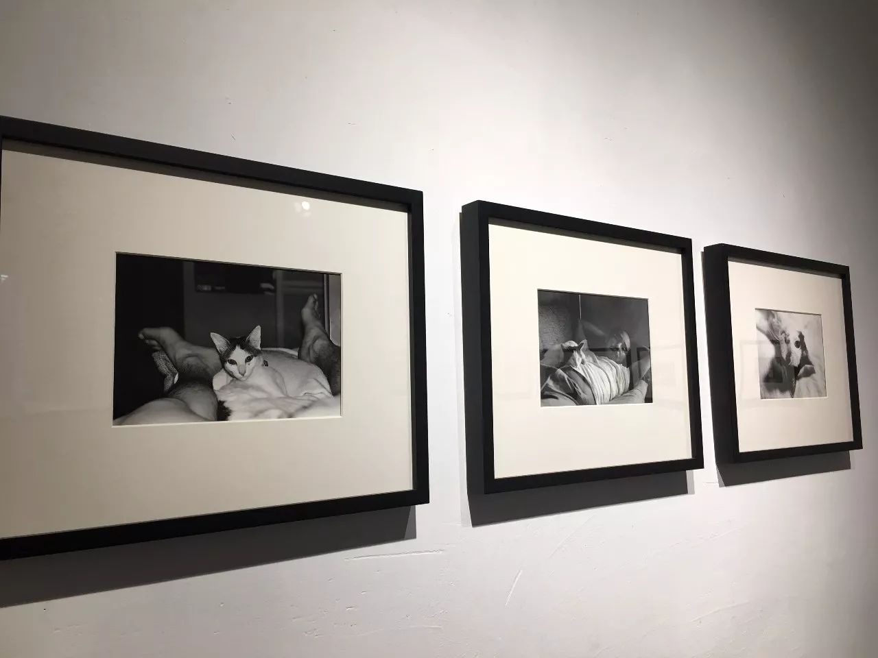 福建新郎放新娘视频