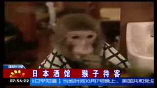 小困狗 → 如果是小困狗这样