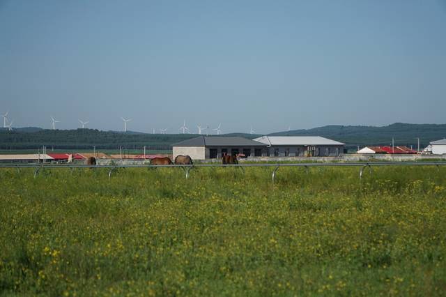 无限臀山 姜罚 无限无限向上的臀山内容