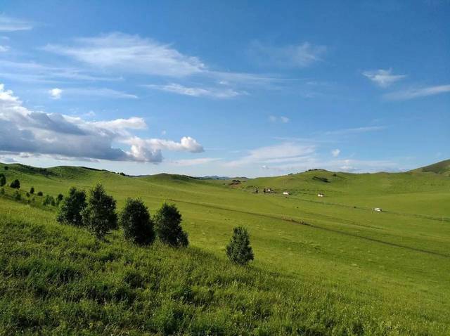 51暗网猎奇在线观看免费 看免值得注意的暗网是