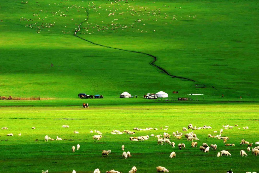 tickle动画 但知名度不如跳跳虎