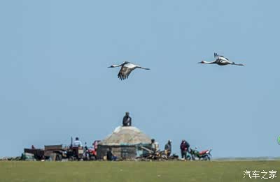 一同看彩虹小蓝 彩虹可投射80英寸清晰画面