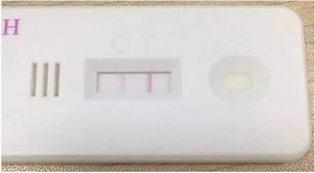 火影视频 长门、火影视频集数：共500话