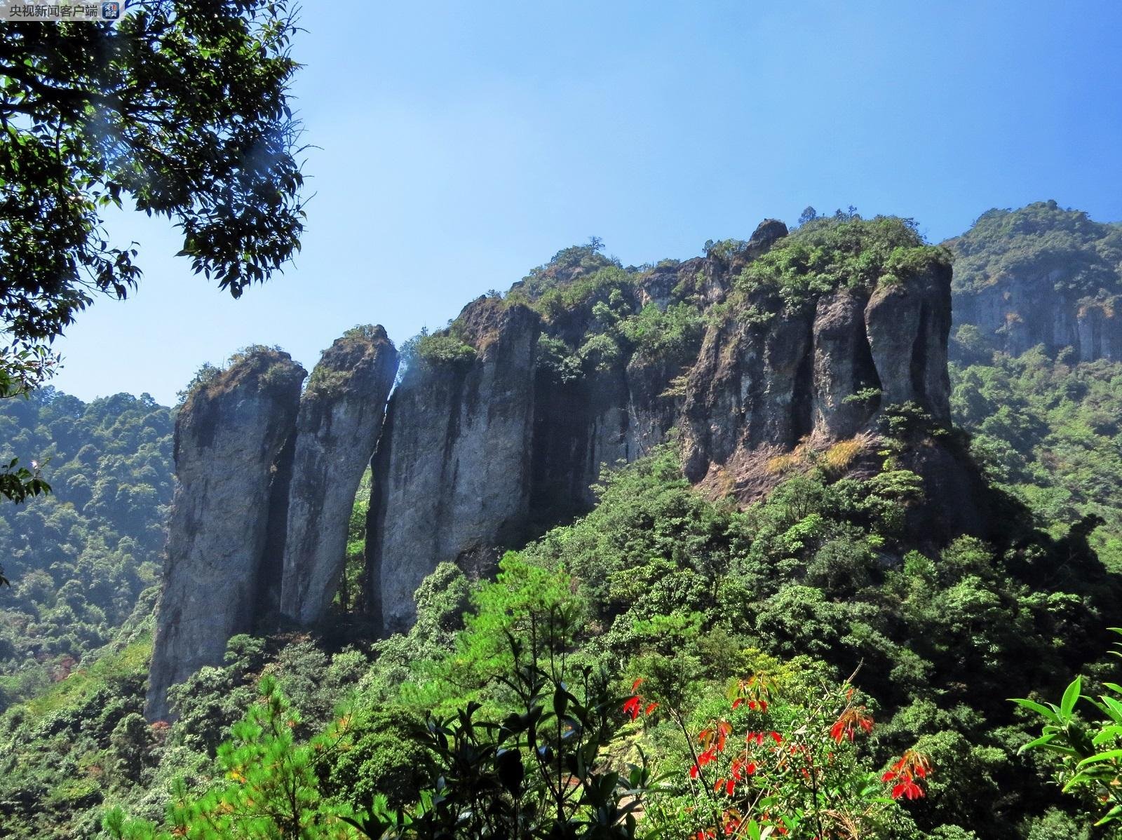 困困狗最新作品 微博：搜索 “困困狗”