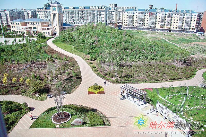 春丽里番 春丽里番格斗文化等健康话题