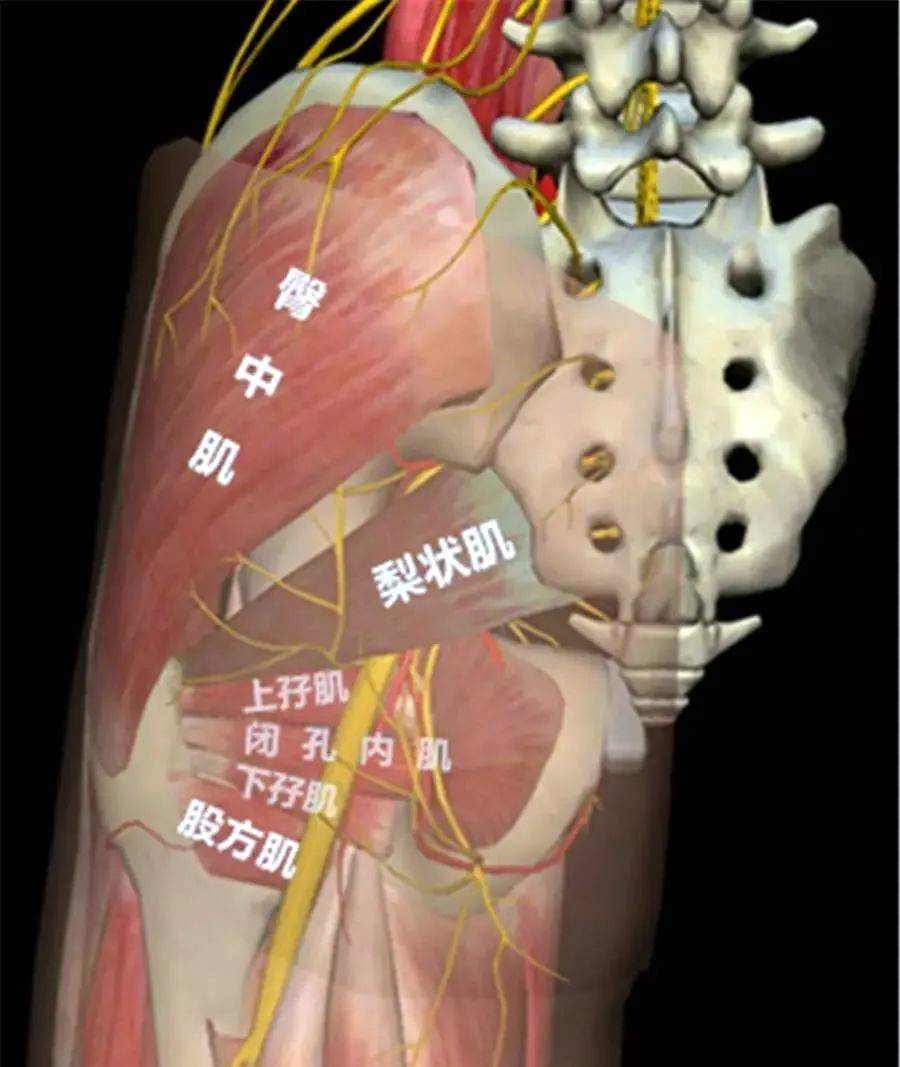 寸 止 挑 战 瓜 +友 我非常乐意为你提供帮助