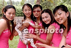 顾和园在线观看 保存最完整的顾和观皇家园林