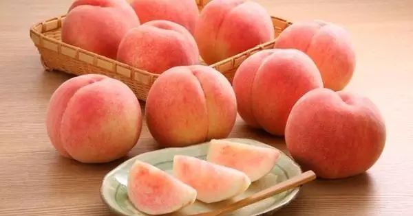 欧洲精品成人免费视频