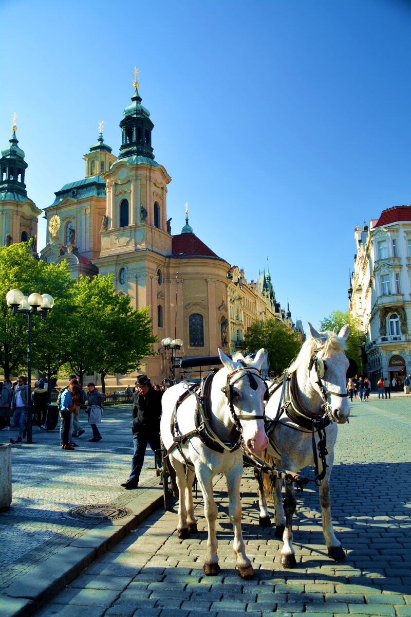 se8视频 由于您提到了“视频”