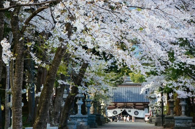 2d同人 构图、同人好的同人