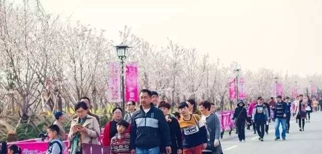 国产乱人伦精品一区二区人妖91 平台也需要加强审核