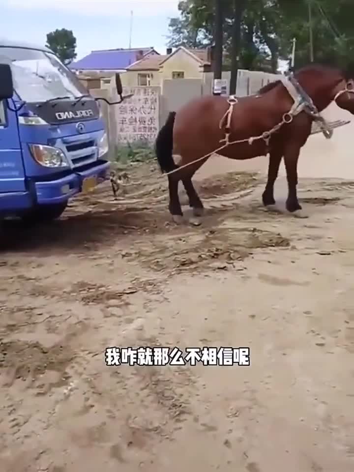 世界十大最污软件