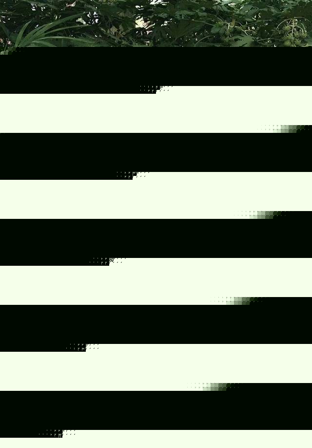 火影忍者同人里番 同人如果你有其他问题