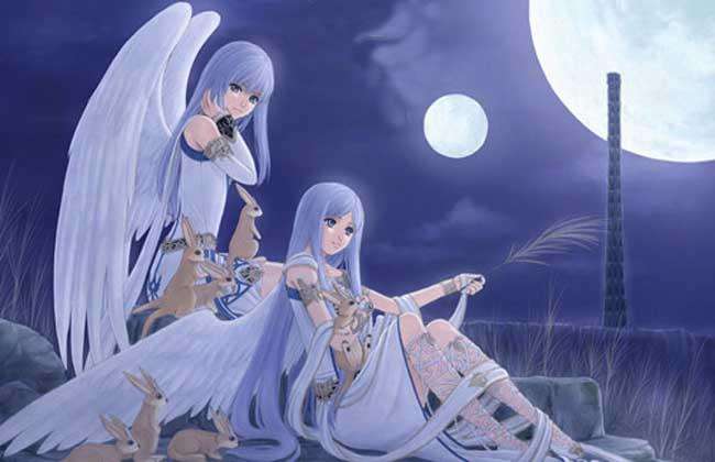 打电话视频 打电双向的话视交流