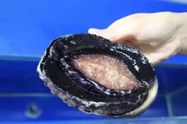 午夜成人精品一区二三区免费看 精品每个专区聚焦特定类型