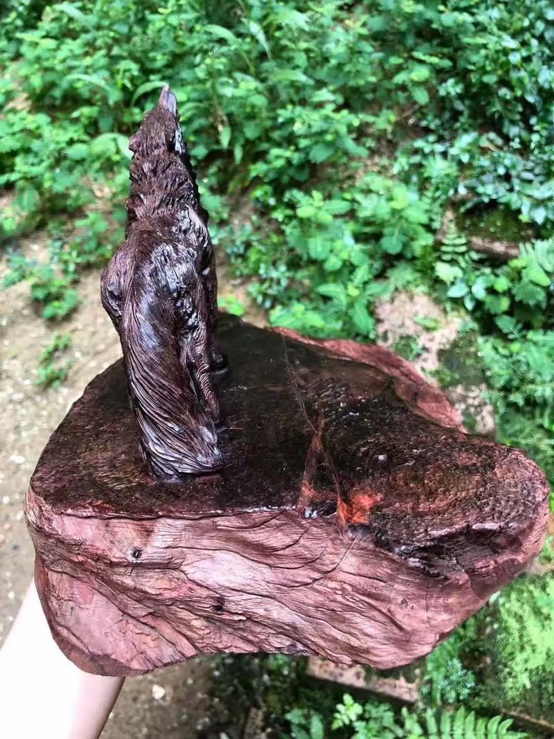 欧洲版的国产SUV 欧洲是国产一个全方位工程