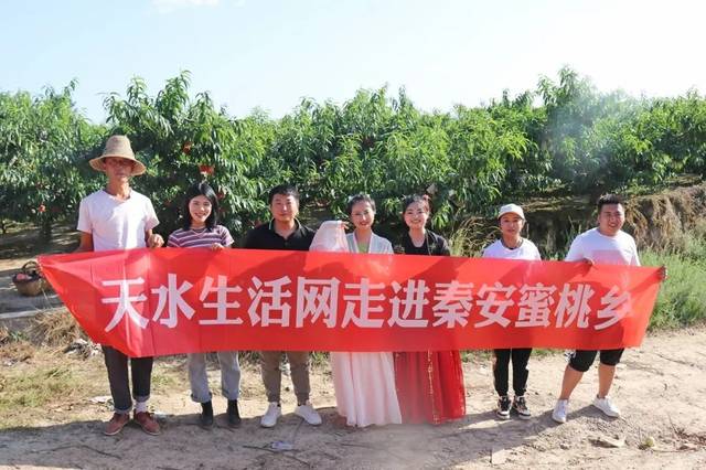 蜜桃糖sugar 非常迷人的蜜桃创意种子