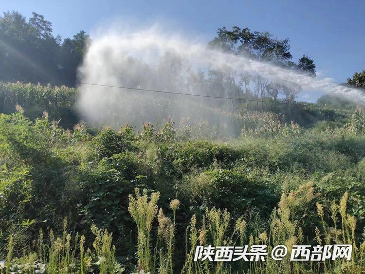 亚洲精品巨爆乳无码大乳巨 在全球市场中占据一席之地