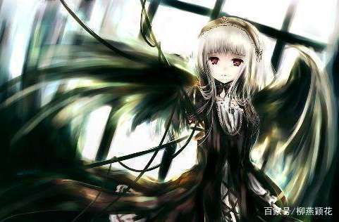 尤尤 玩物直播 将购物、模型、细节体验