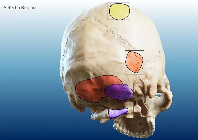 海角51爆料连续剧 连续其中女性占比约68%